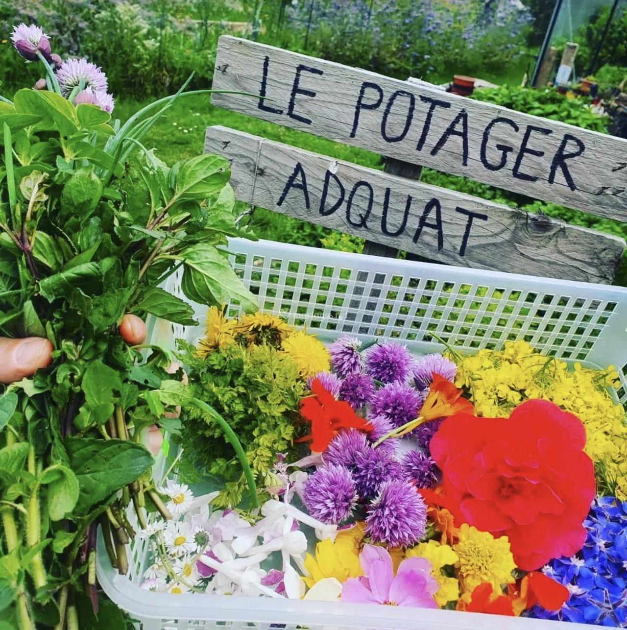 ADquat Traiteur, photo 2