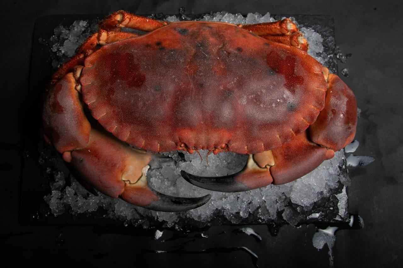 Cuisine et Mer, photo 2