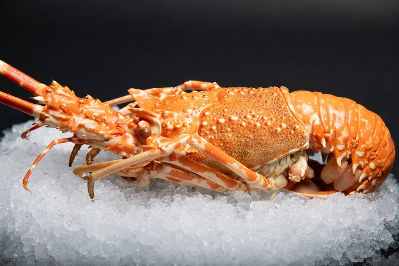 Cuisine et Mer, photo 5