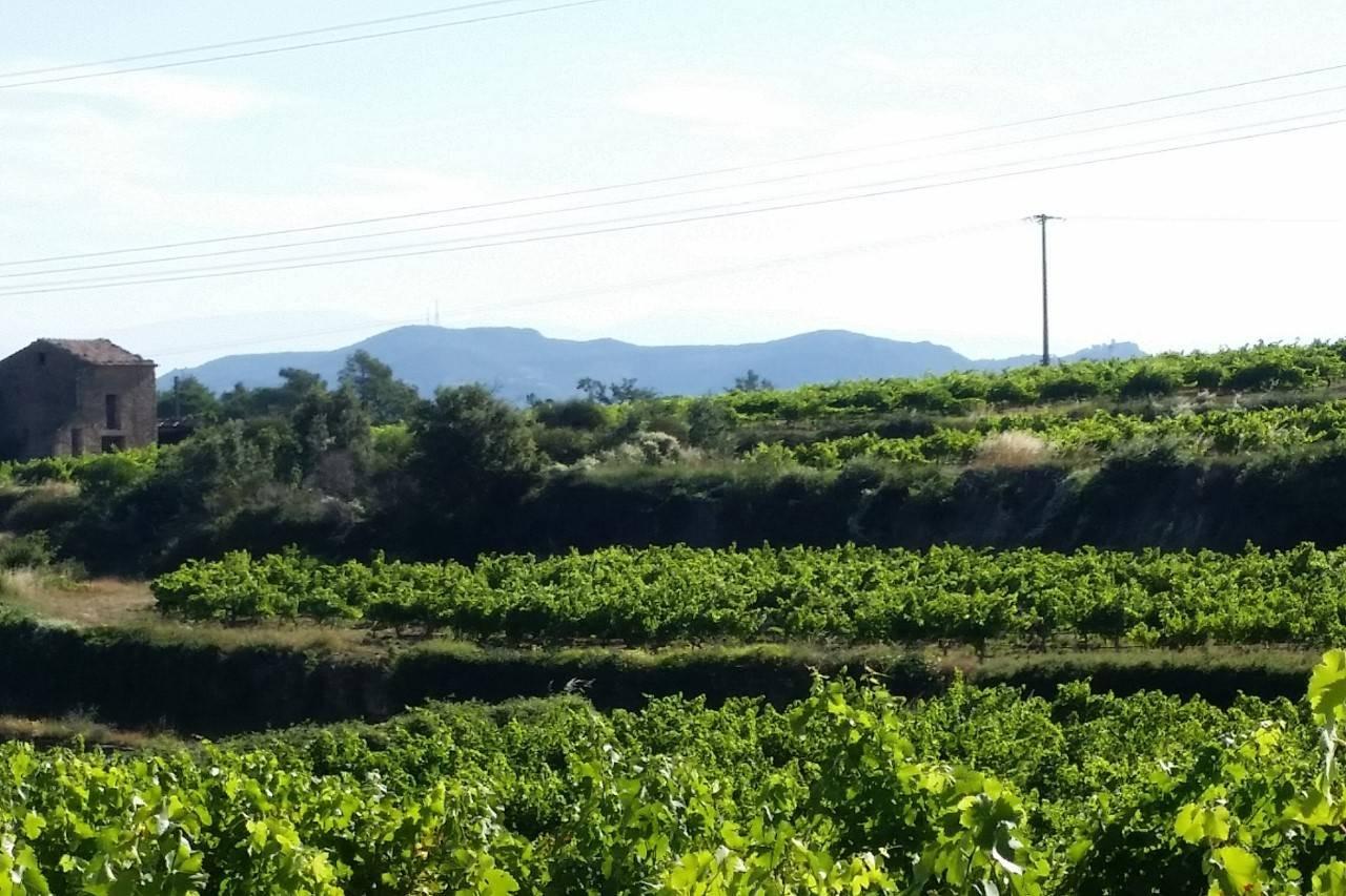 Domaine Chantegrives