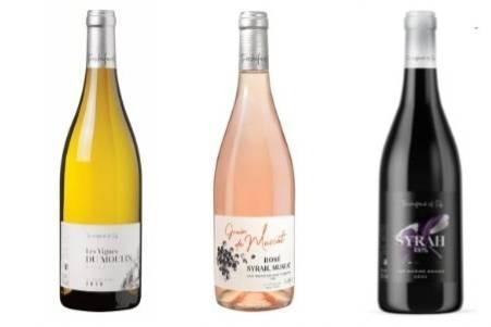 Domaine Truchefaud, photo 4