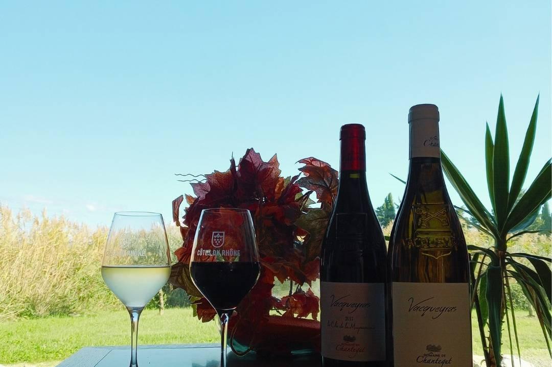 Domaine de Chantegut, photo 5