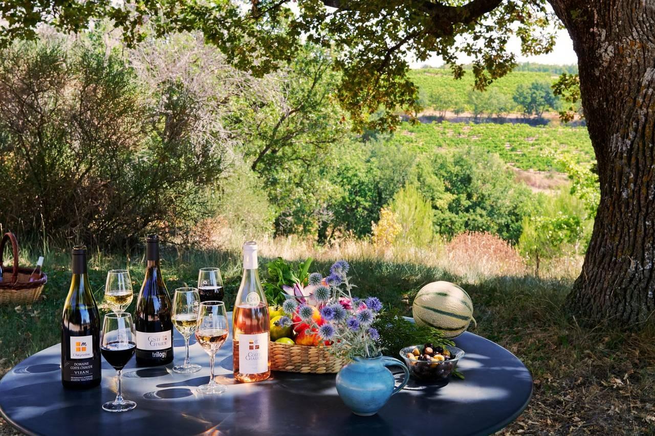 Domaine de Coste Chaude
