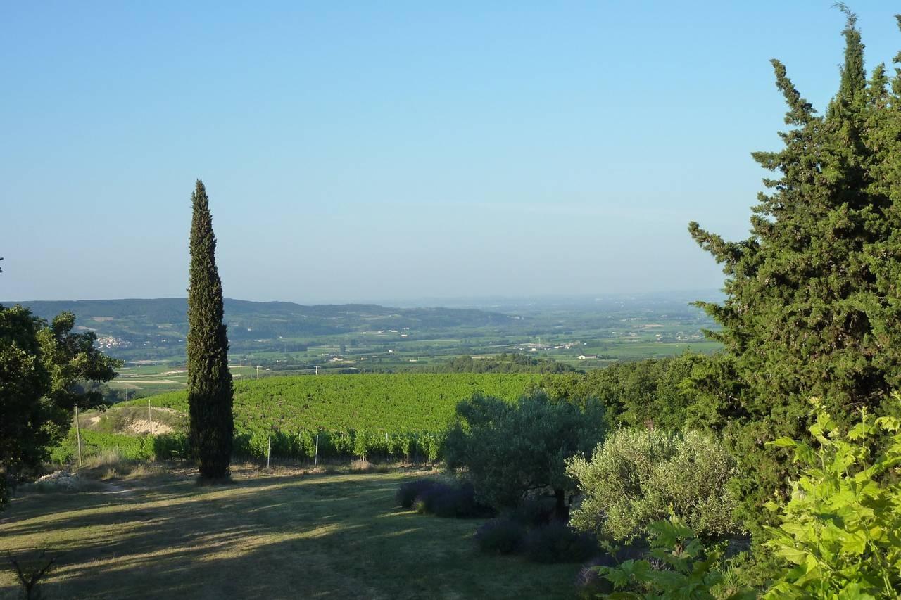 Domaine de Coste Chaude, photo 2