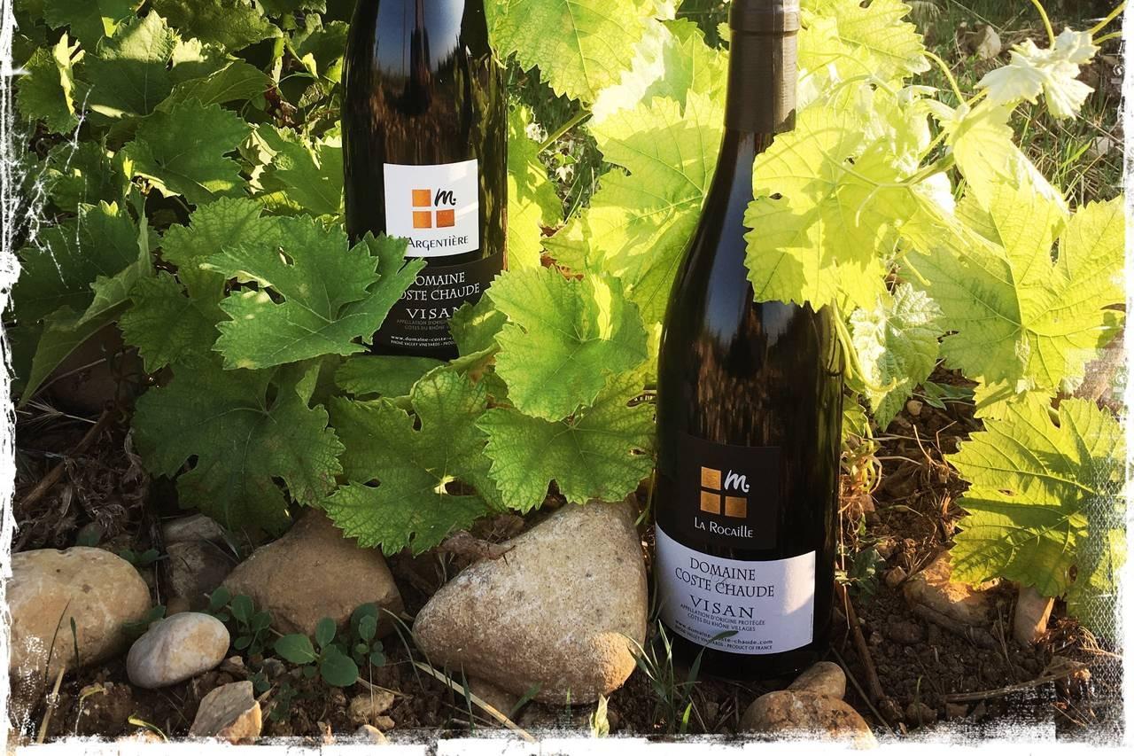 Domaine de Coste Chaude, photo 5