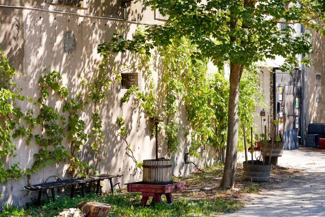 Domaine de l'Ambroisie, photo 3
