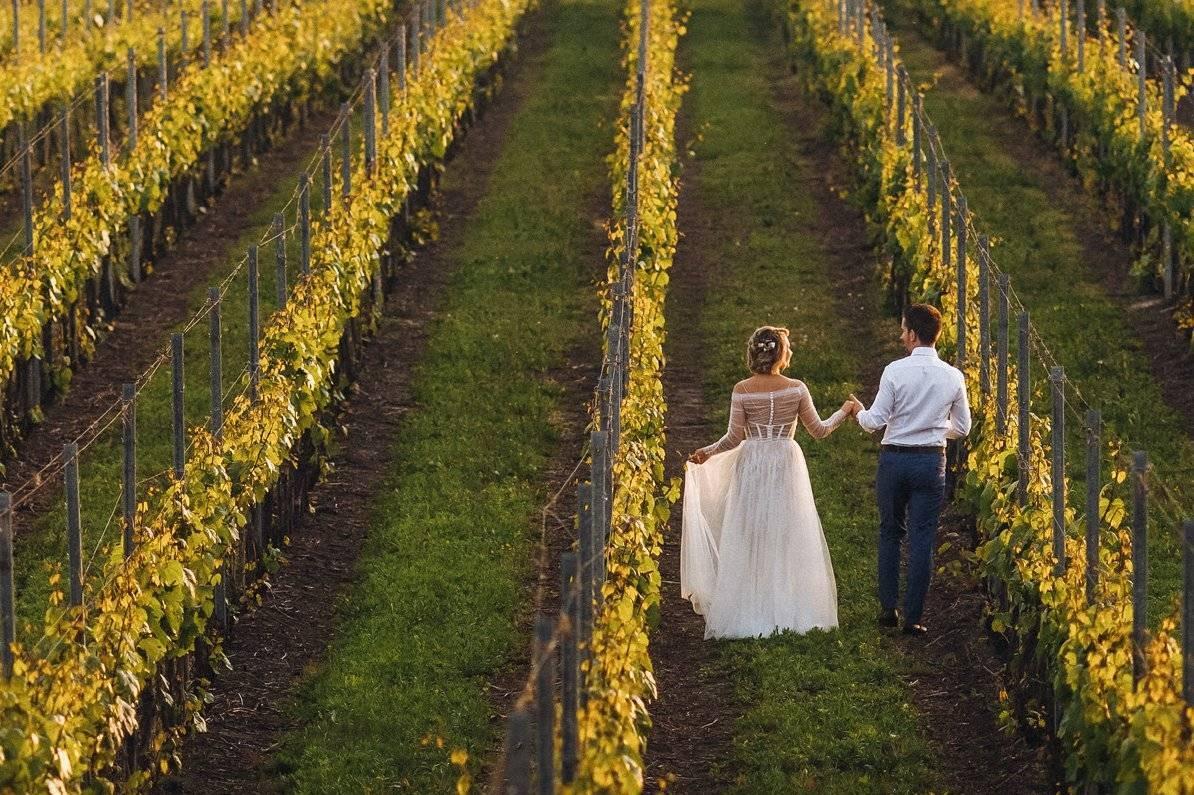 Pépites de Vin, photo 4