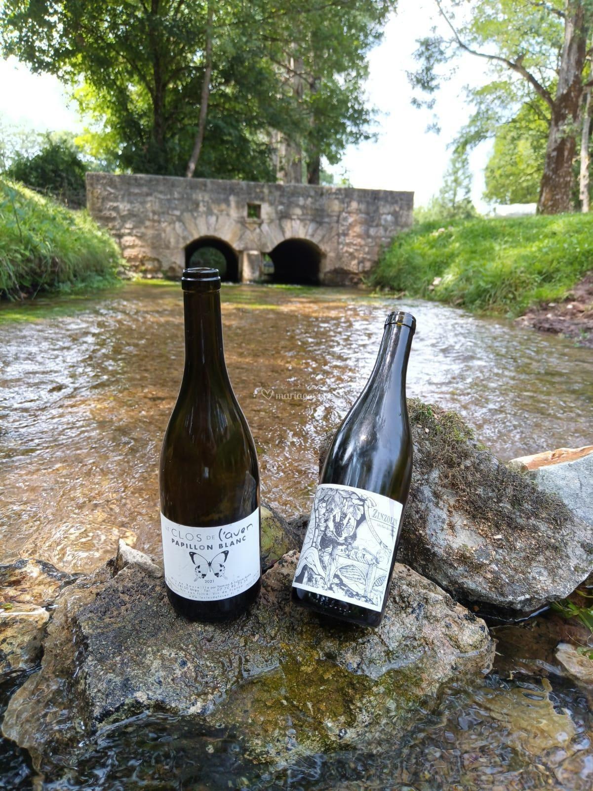 Terroirs Passion, photo 5