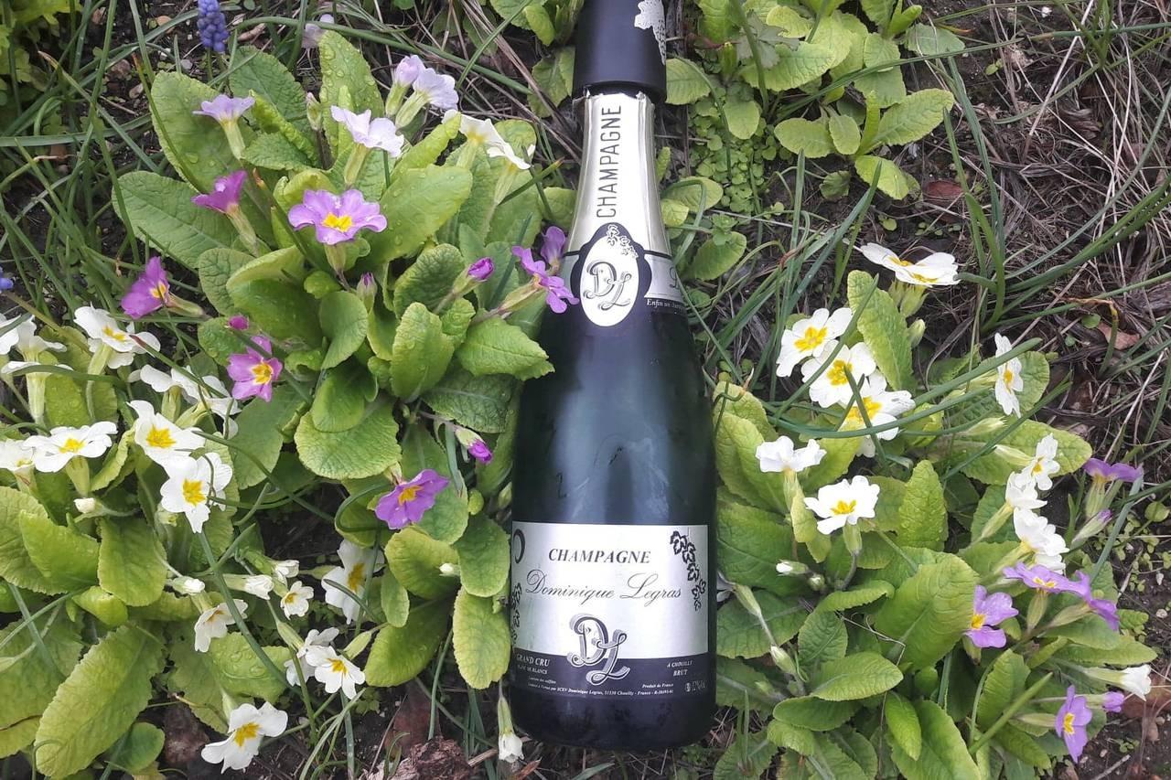 Champagne Dominique Legras