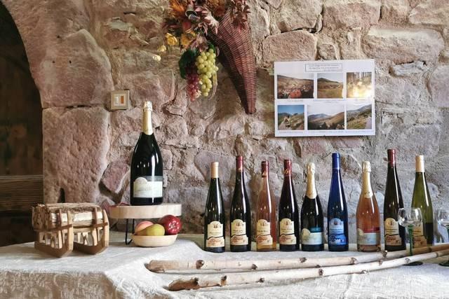 Domaine Freyder Anselm