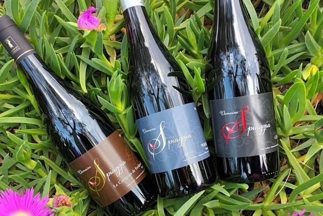 Domaine Spiaggia